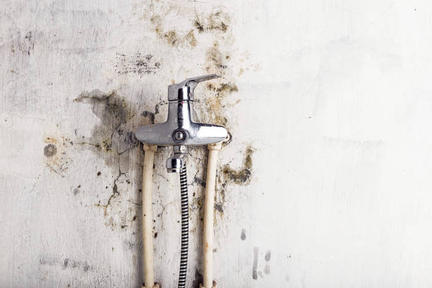 Best Mold Testing  in Mansfield Center, CT