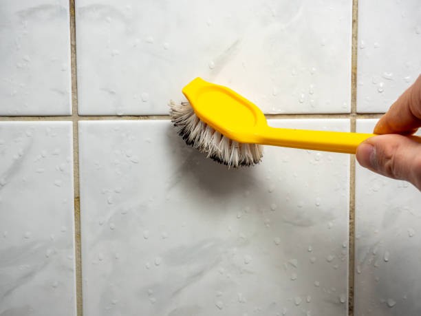 Best Certified Mold Removal  in Mansfield Center, CT