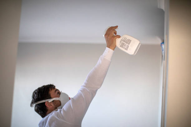 Best Attic Mold Removal  in Mansfield Center, CT
