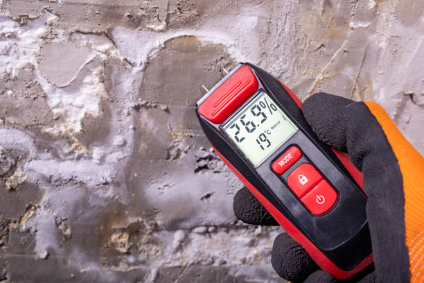 Best Same-Day Mold Removal  in Mansfield Center, CT