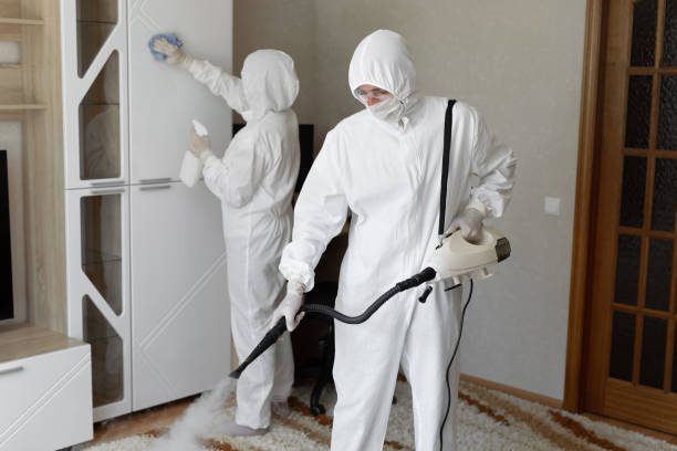 Attic Mold Removal in Mansfield Center, CT