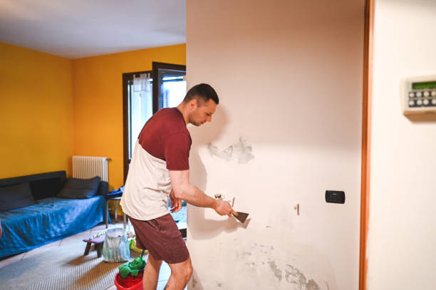 Best Affordable Mold Removal  in Mansfield Center, CT