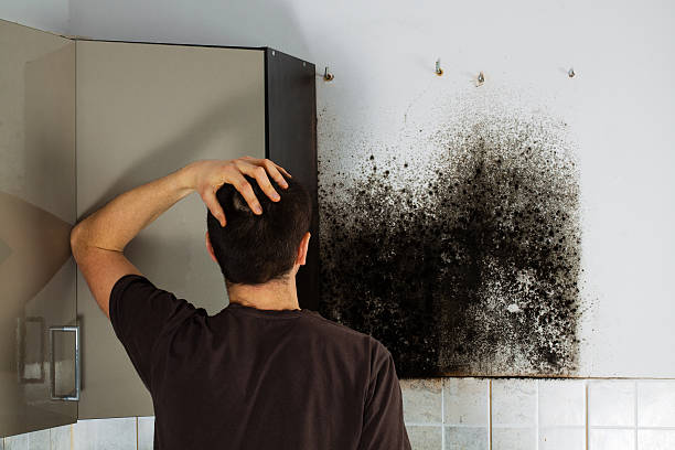 Best Crawl Space Mold Removal  in Mansfield Center, CT